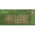 Thumbnail for version as of 14:32, 22 May 2025
